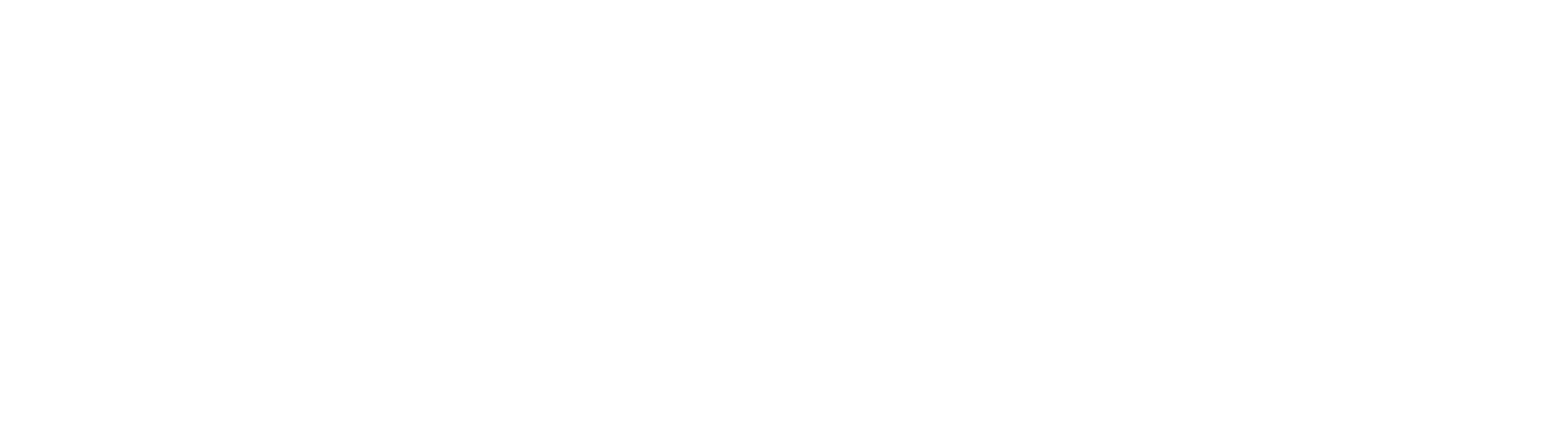 opitz consulting analytics logo